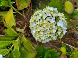 Evangelista Blanco Brenes 公园