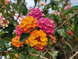 Evangelista Blanco Brenes 公园
