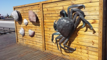 盘锦红海滩 
