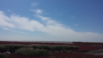 盘锦红海滩 