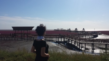 盘锦红海滩 