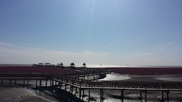盘锦红海滩 