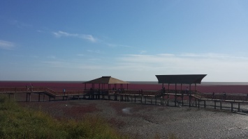 盘锦红海滩 
