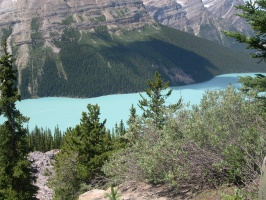 Peyto 冰川湖, 班夫国家公园