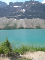 Peyto 冰川湖, 班夫国家公园