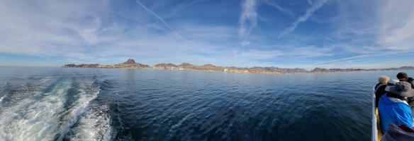 科尔特斯海游轮游
