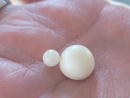 Pearl Farm