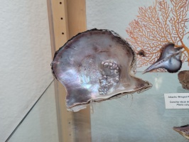 Pearl Farm