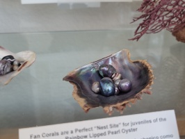 Pearl Farm