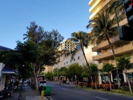 檀香山市区游