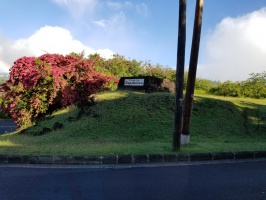 檀香山市区游