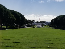 檀香山市区游